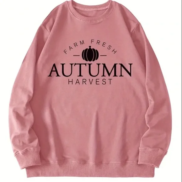 Autumn Harvest Pink Pullover Graphic Print Sweater - Picture 3 of 10